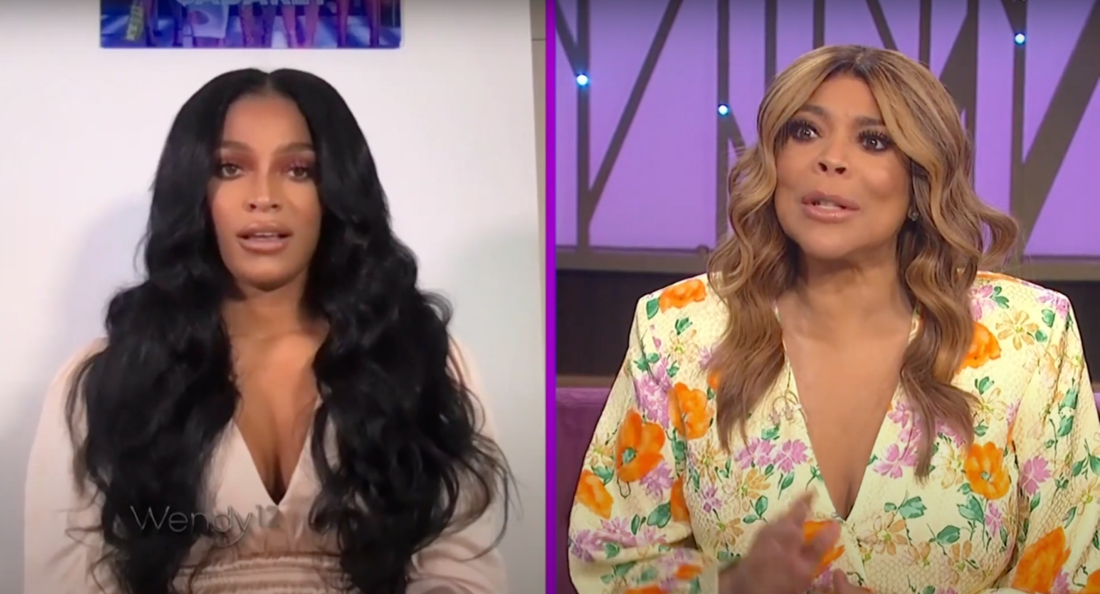 Evelyn Lozado slams Wendy Williams for calling her baby a 'cash register