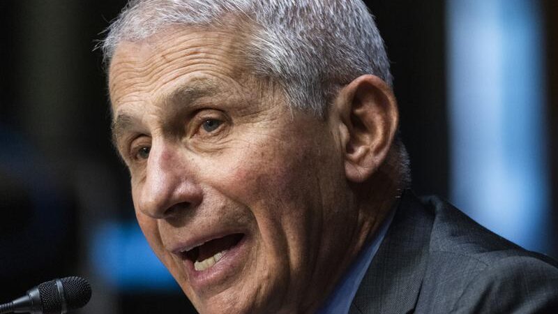 Fauci says pandemic exposed ‘undeniable effects of racism’