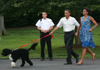 Obama family dog, Bo, has died: ‘We said goodbye to our best friend’