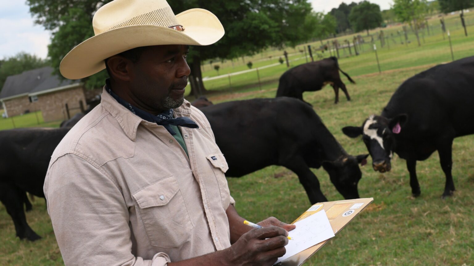 Deadline For Black Farmers Settlement 2024 Lacee