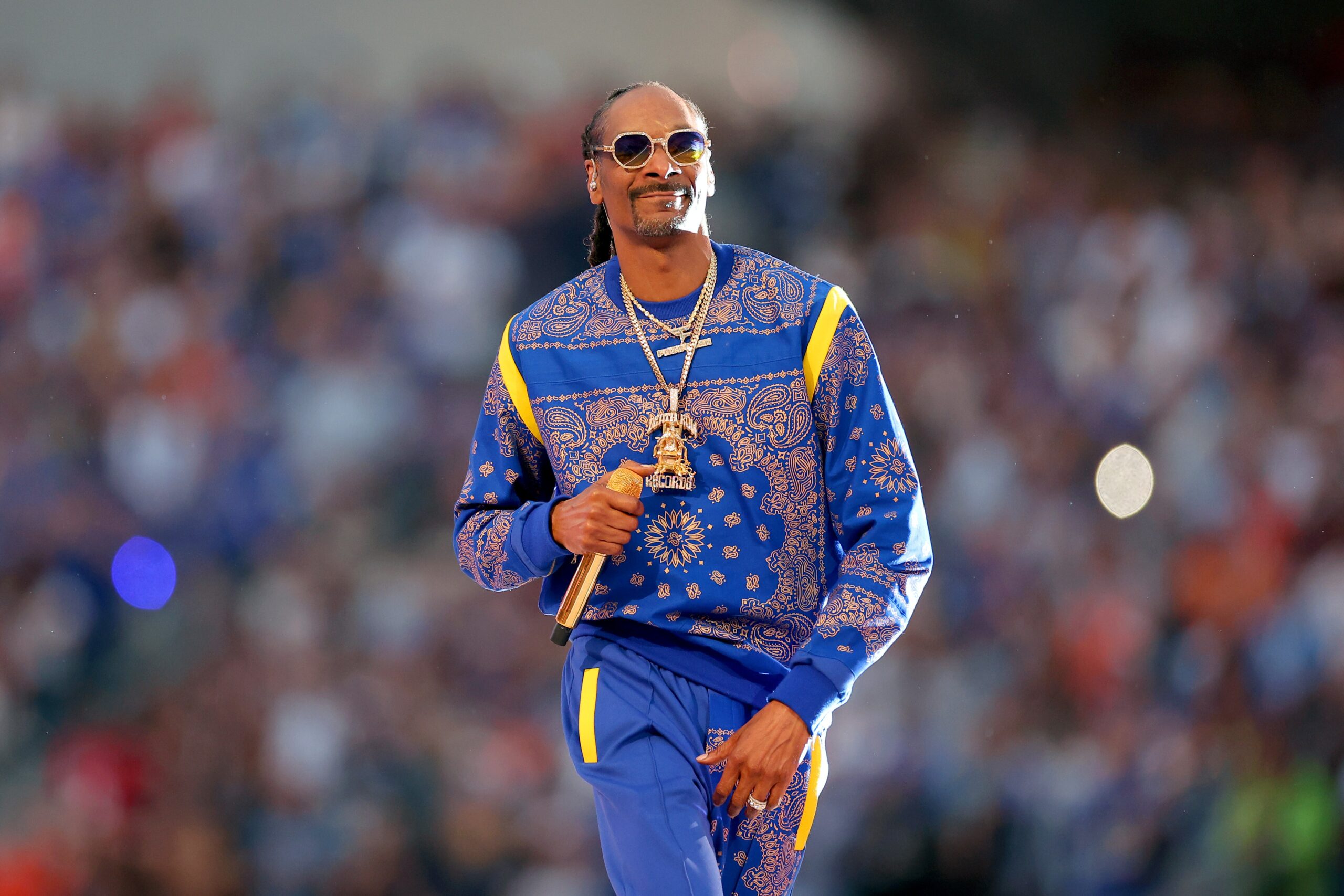 Snoop Dogg creates ‘Doggyland,’ animated children’s web-series