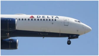 Delta Airlines - theGrio