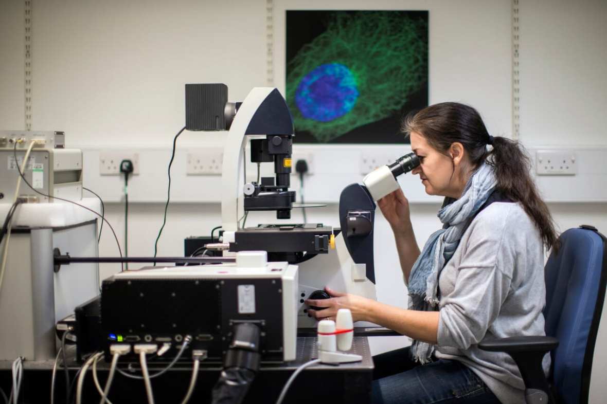 Research Into Cancer Conducted At The Cancer Research UK Cambridge Institute