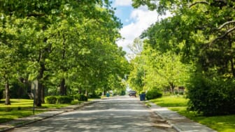  Majority Black Chicago neighborhoods get fewer trees than rich ones