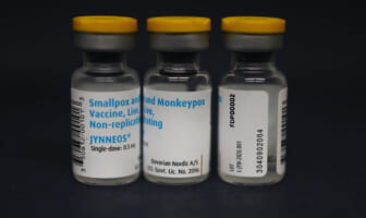 The monkeypox outbreak, explained