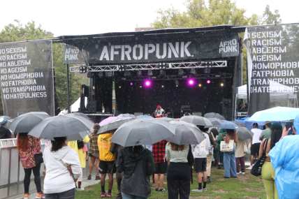 As Afropunk Fest returns to Brooklyn, the real stars are the spectators