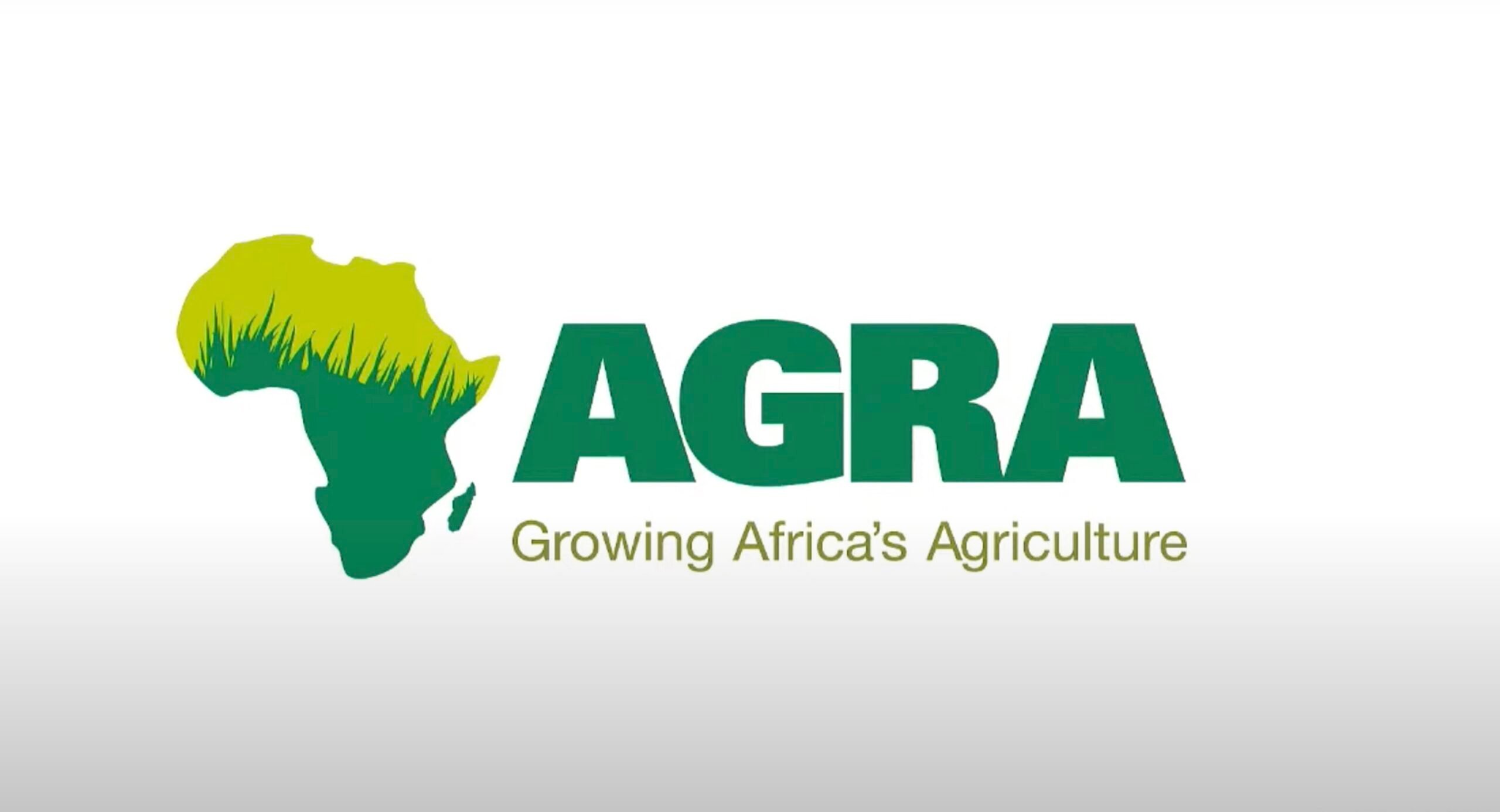 Press Release: 200 organisations urge donors to scrap AGRA - AFSA