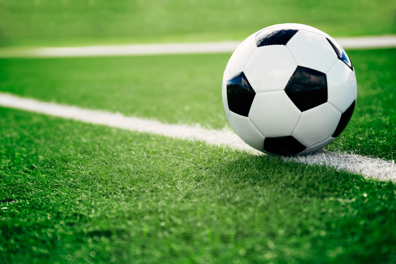 After “vile,” racially insensitive remarks, soccer fan gets 9-month prison sentence