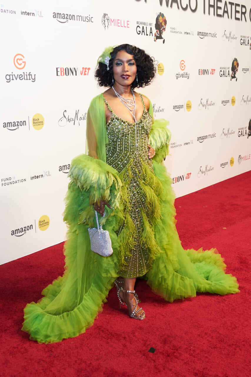 , Gala glam: From Wearable Art to Outfest, these red carpets were a study in Black style