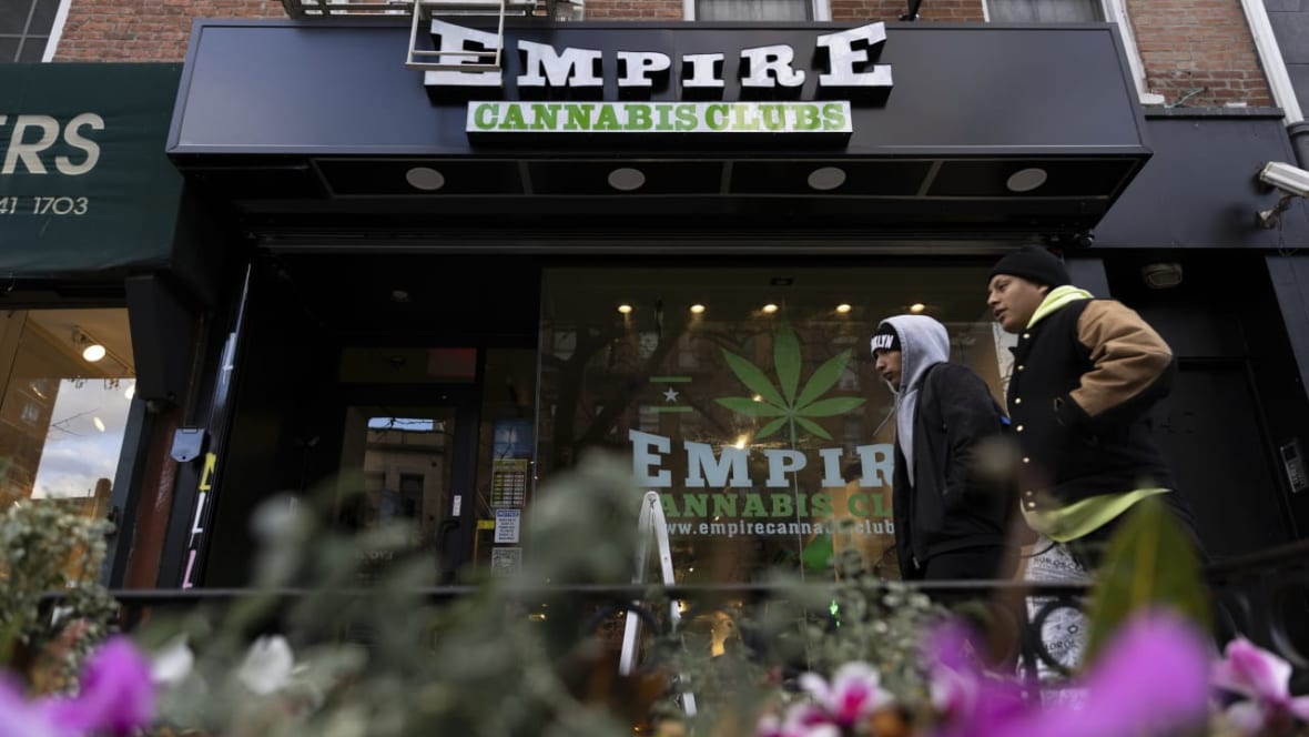New York approves first dispensary licenses