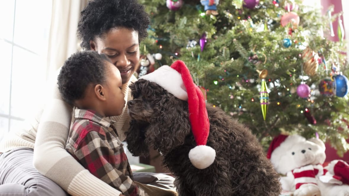 Pet Holiday Gift Guide, Black-owned pet brands, theGrio.com