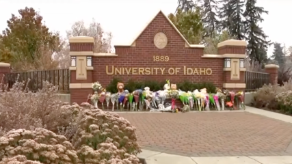 Idaho professor sues TikTok creator for accusing her of killing 4 university students