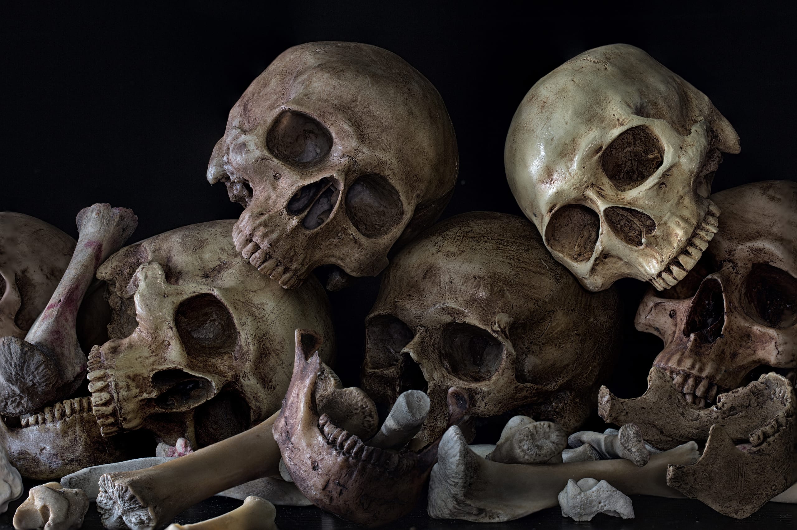 Berlin museums ready to return skulls from African ex-colony