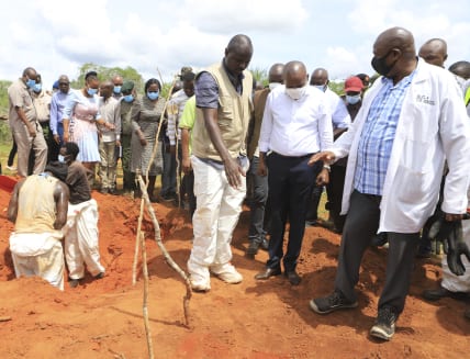 Kenya cult death toll rises to 95 as government sets curfew