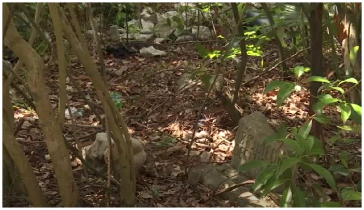 Black veterans buried at overgrown Jacksonville cemetery call for cleanup