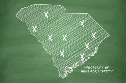 South Carolina’s Critical Race War on Education, Part 3: A confederacy of Karens
