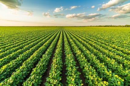 Farms in Mississippi exploited Black workers, pay back wages, fines, feds say