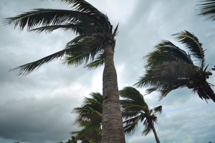 Tropical Storm Bret forms in Atlantic, with possible hurricane threat to Caribbean islands