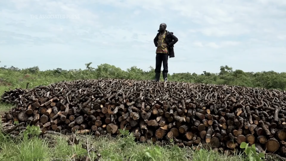 In Uganda, a recent ban on charcoal making disrupts a lucrative but destructive business