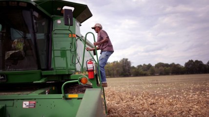 Black farmers can finally make claims for $2.2B USDA program