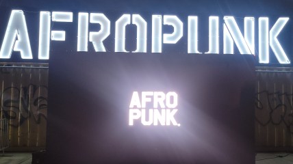 Afropunk Brooklyn 2023: new venue, new attractions, same vibes