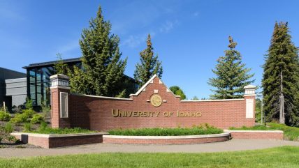 University of Idaho law school