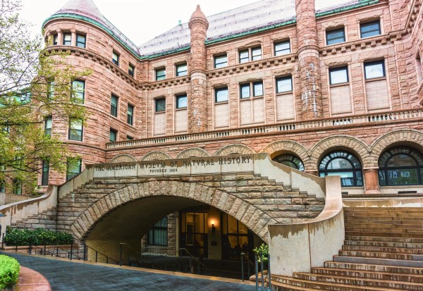 NY natural history museum changing how it looks after thousands of human remains in collection