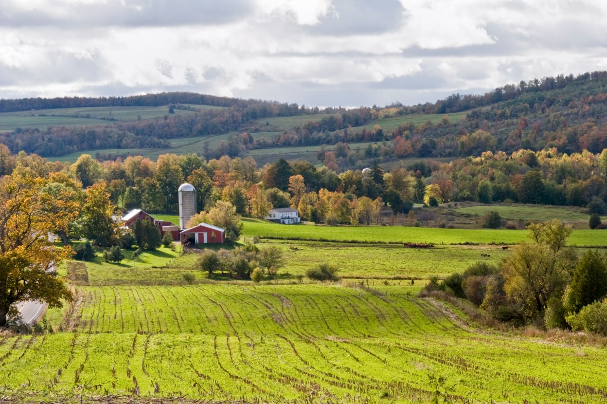 Black farmers, New York, farmland, theGrio.com