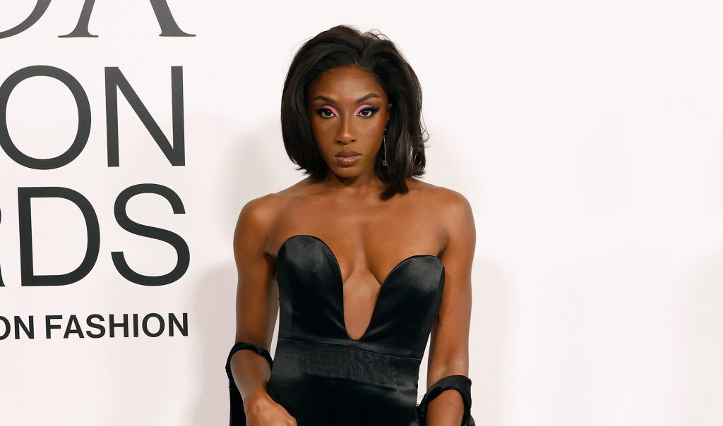 2023 CFDA Fashion Awards, CFDA Fashion Awards, Fashion, What are the Oscars of fashion?, red carpet style, CFDA, What is the CFDA?, Serena Williams, celebrity style, fashion industry, Black fashion designers, Black designers, theGrio.com