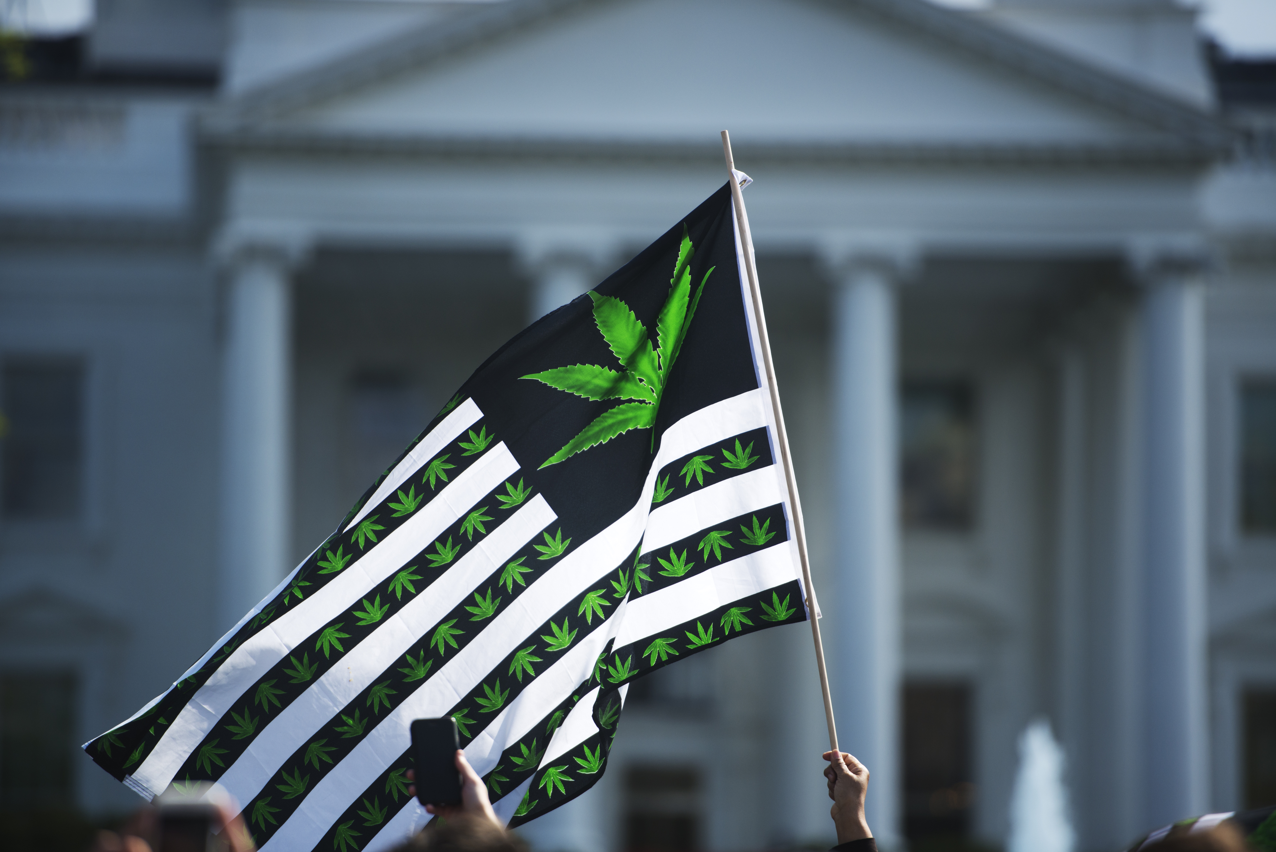 A marijuana flag