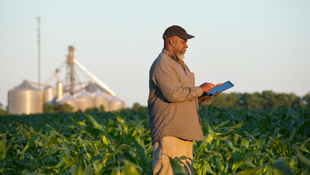 Black farmer with digital tablet in crop field