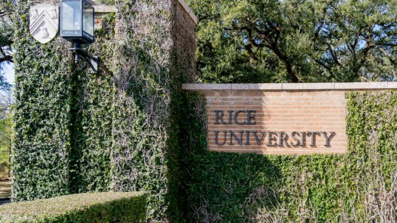 Rice University launches ‘Afrochemistry’ class: ‘We will be using chemical concepts to better understand Black life’