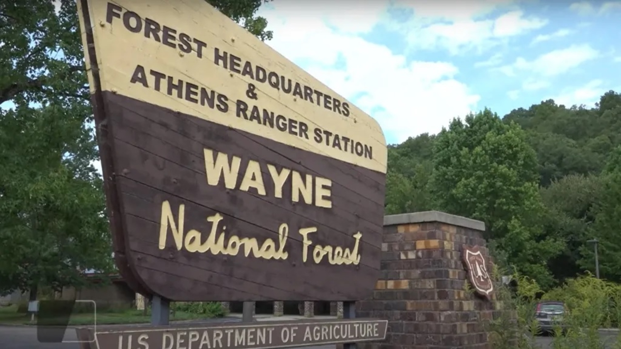 Feds mull renaming Wayne National Forest because of ties to enslaved people, Indigenous killings