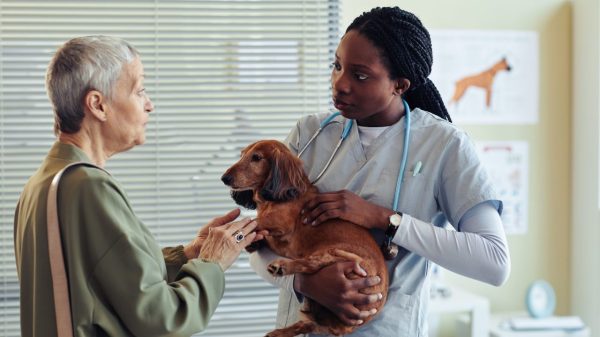 Maryland college hopes to become 2nd HBCU in nation to train veterinarians