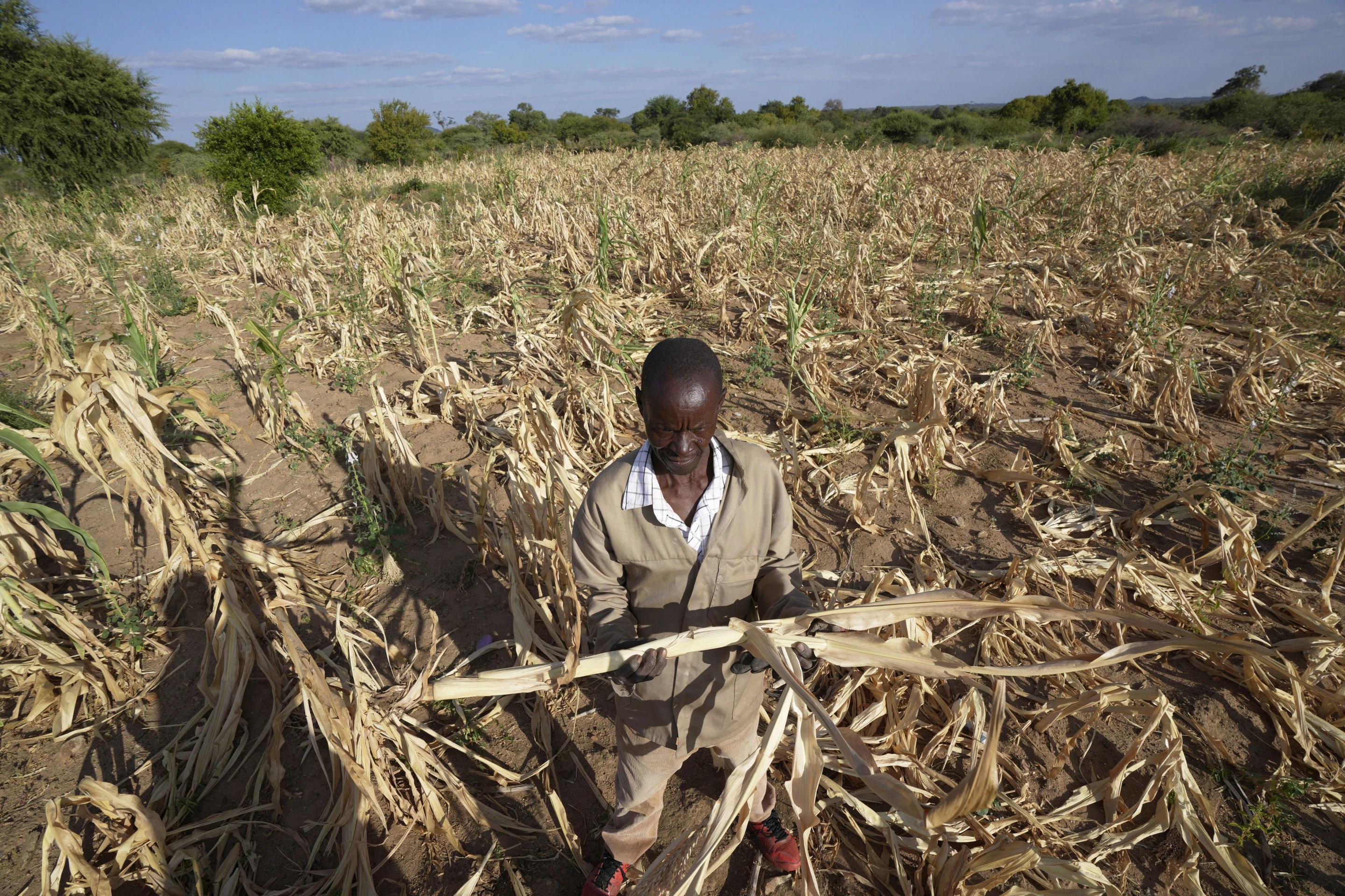 Extreme drought in southern Africa leaves millions hungry