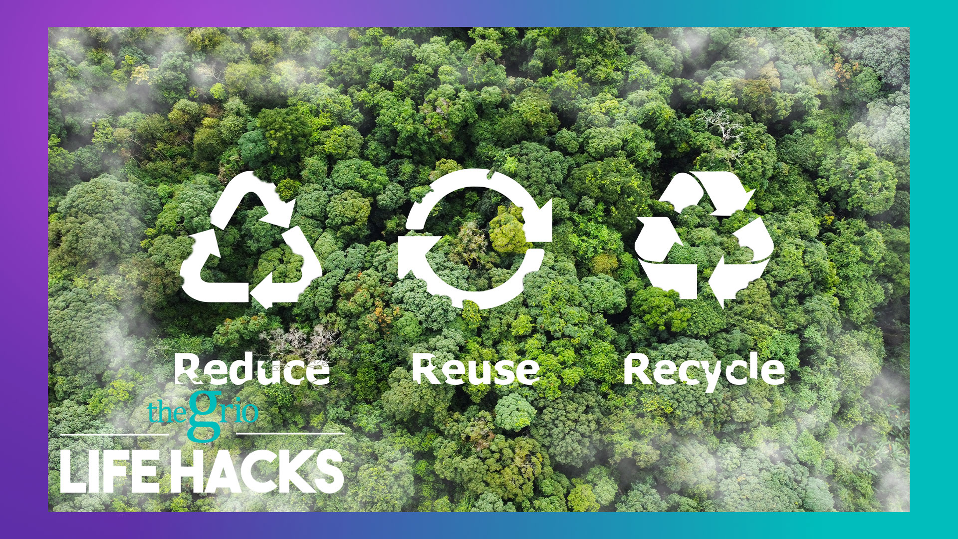 Watch: Simple ways to improve the Environment | Life Hacks