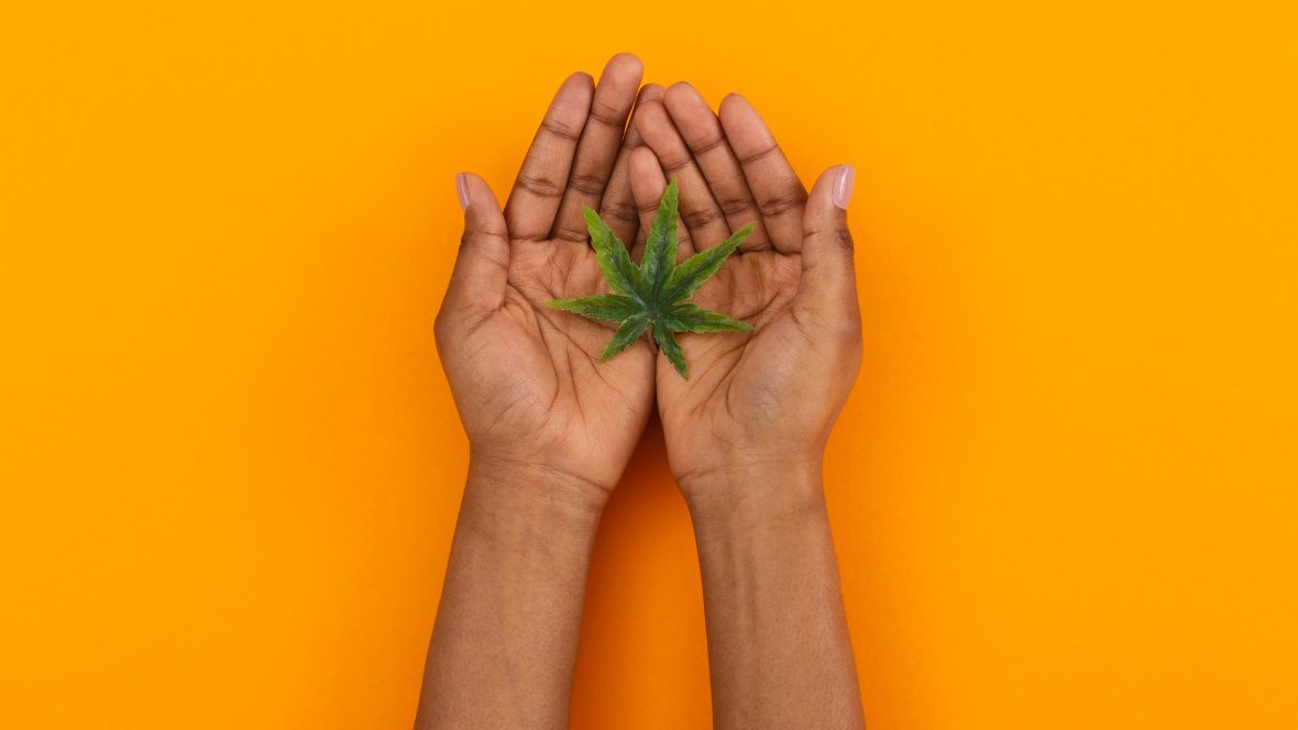 Cannabis industry, Black-owned cannabis brands, Black-owned cannabis dispensaries, Black woman-owned dispensaries, theGrio.com
