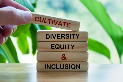 diversity equity and inclusion is good, DEI, theGrio.com