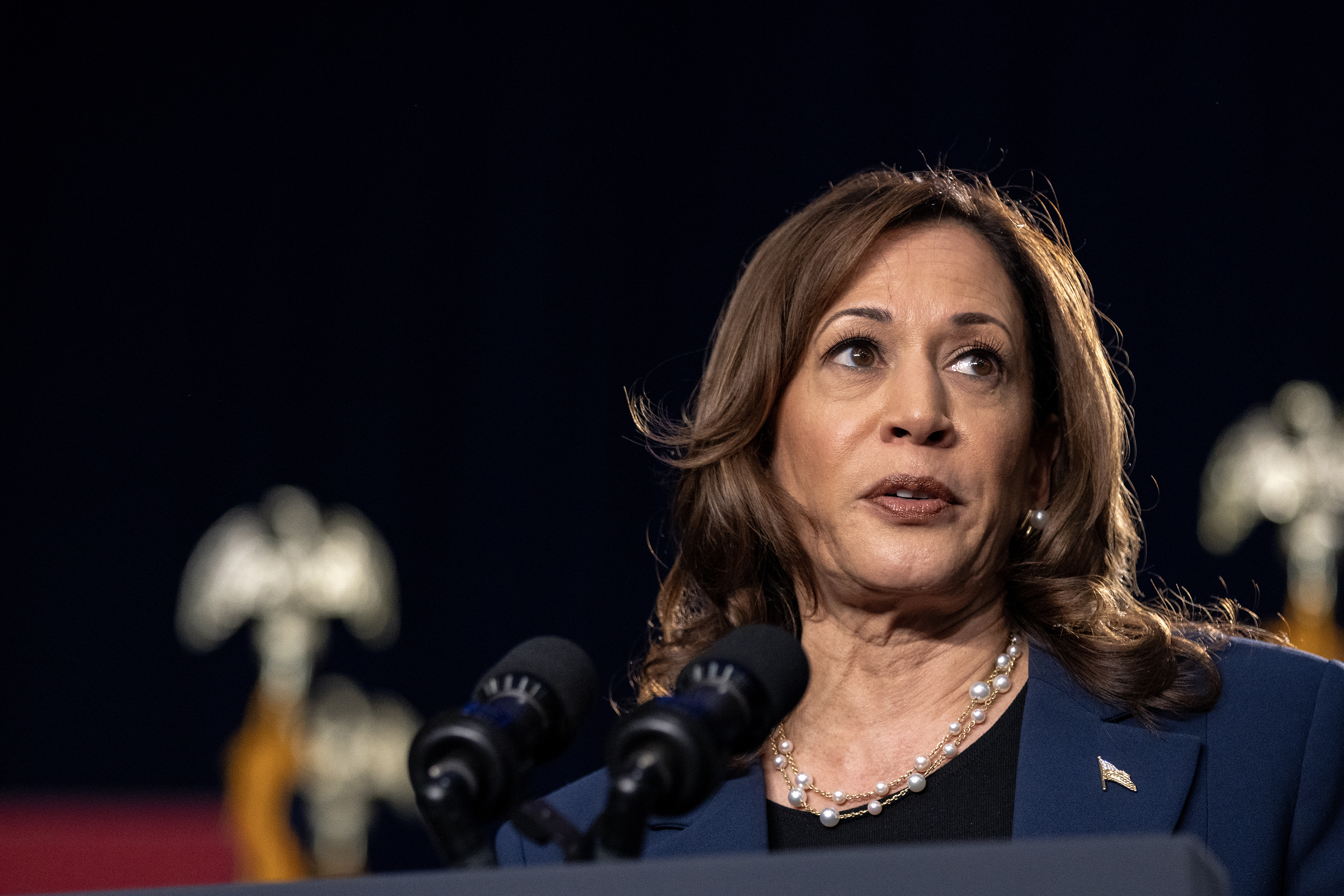 Kamala Harris, 2024 election, thegrio.com