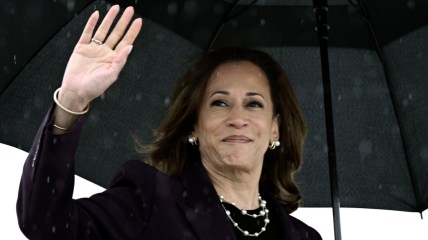 Vice President Kamala Harris, Air Force Two, theGrio.com