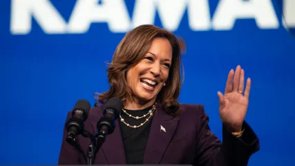 thegrio.com, kamala harris, vice president, nominee, theGrio