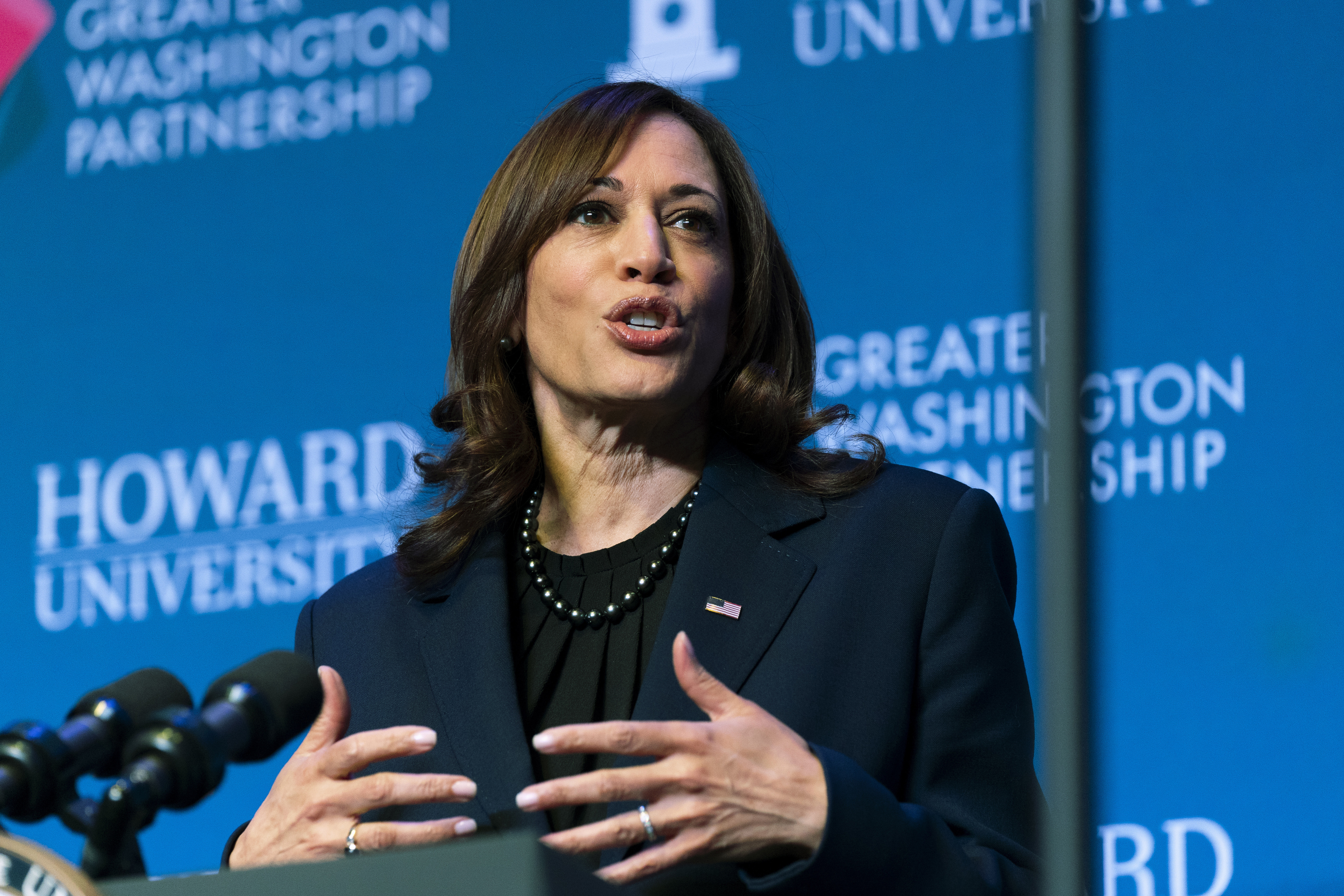 Kamala Harris’ historic run is a pinnacle moment for Howard University