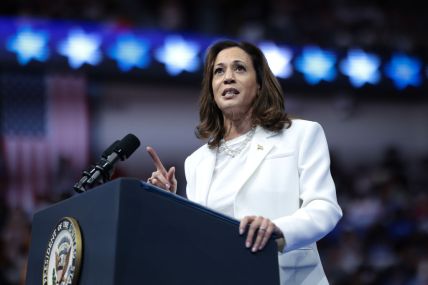 Kamala Harris, 2024 election, theGrio.com