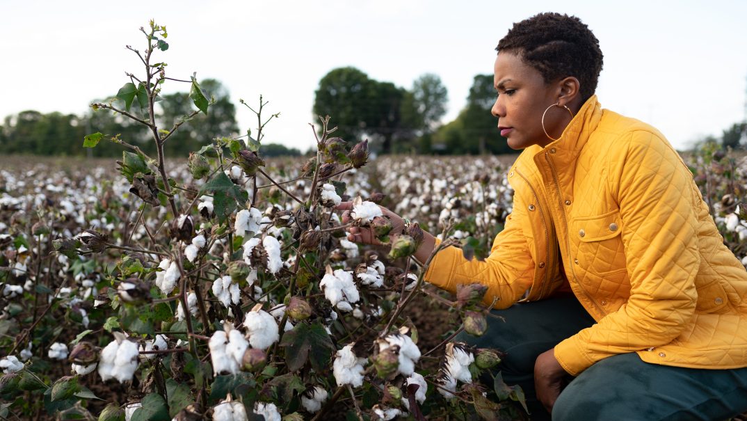 racial trauma, racial violence, structural racism, generational trauma, racism and health, Sikeston, Silence in Sikeston, lynching, Black mental health, Black health, theGrio.com