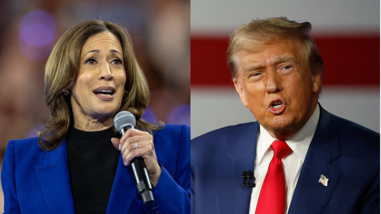 Kamala Harris, Donald Trump, theGrio.com