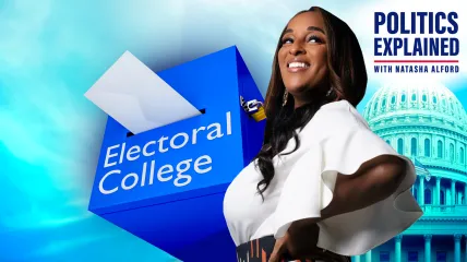 TheGrio Politics Explained with Natasha Alford - The Electoral College