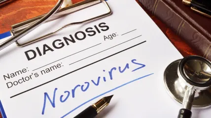 Norovirus, What is Norovirus, stomach bug, stomach flu, theGrio.com