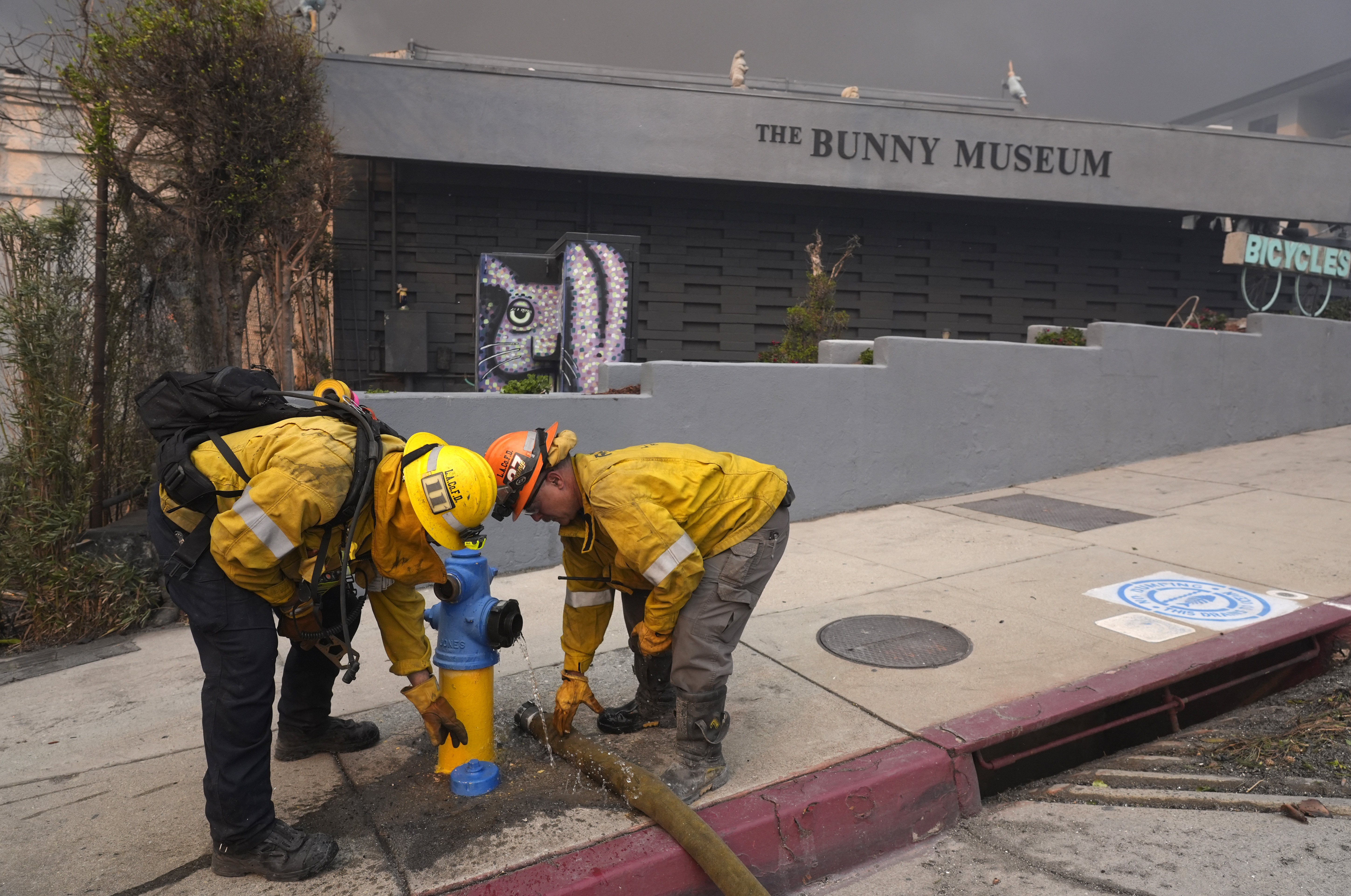 thegrio, los angeles wildfires, california, karen bass, gavin newsom