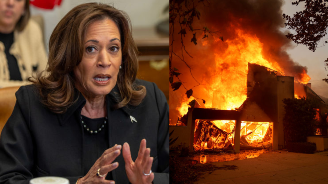 Kamala Harris, California Fires, thegrio.com