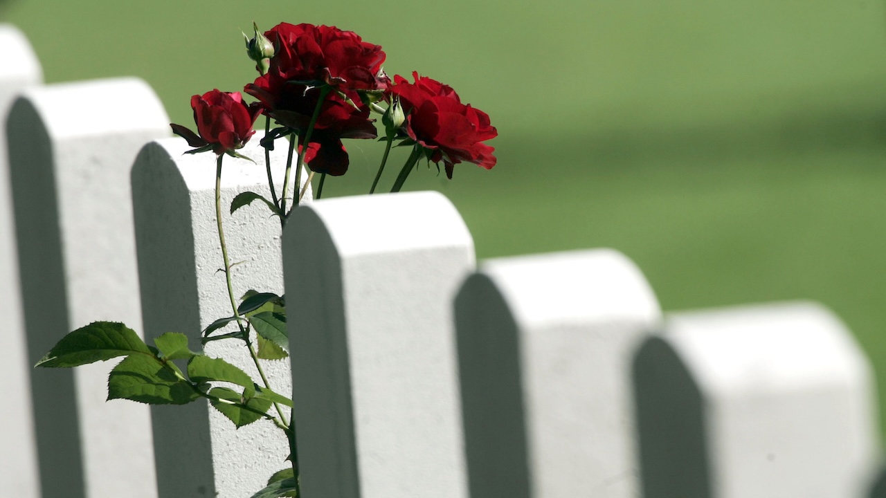 ‘Unacceptable’: Leaders demand permanent memorial for Black WWII soldiers after plaques removed